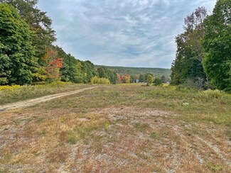 0 Chapman Lake Rd Unit GSB204052, Scott Township, PA 18433