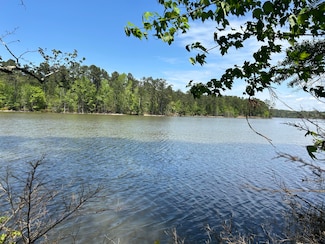 1147 Watersedge Cove, Tignall, GA 30668