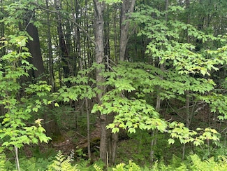 00 Vermont 105, Island Pond, VT 05846