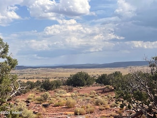 154 N5370, Concho, AZ 85924
