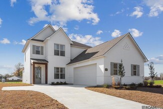 36265 Belle Parc Ave, Geismar, LA 70734