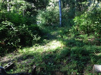 T/L 102 N Timber Rd, Rose Lodge, OR 97368
