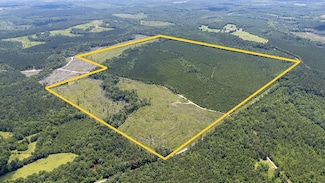 Halso Mill Rd, Georgiana, AL 36033