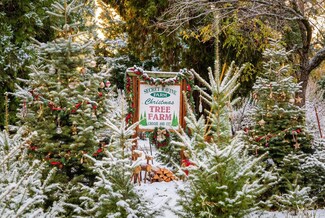 2740 Mace Rd, Camino, CA 95709