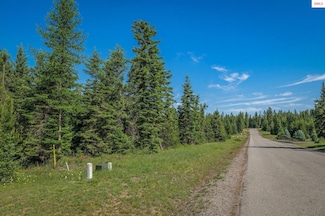 Lot 10 E Riley Loop, Athol, ID 83801