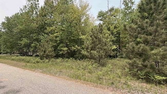 12090 Lila Ct, Austin Township, MI 49346