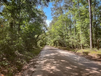 2127 Leadenwah Dr, Wadmalaw Island, SC 29487