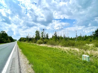 TBD N Plantangenet Rd SE, Bemidji Township, MN 56601