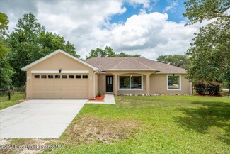 14306 Ermine Owl Rd, Weeki Wachee, FL 34614