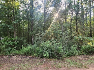 Lot 13 Holly Knoll Dr, Plantersville, TX 77363