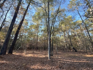 Tbd Haymount Rd Unit LotWP001, Latta, SC 29565