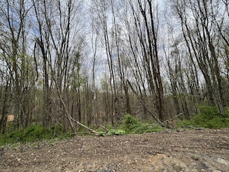 Lot #47 Laredo Dr, London, KY 40741