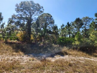 2719 50th St W, Lehigh Acres, FL 33971