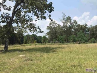 26780 La 441 Hwy, Holden, LA 70744