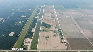39001 Mile 14 Rd, Edinburg, TX 78541