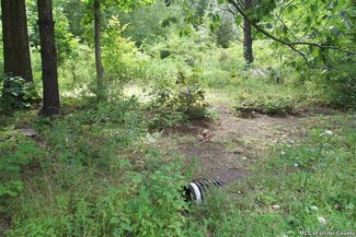 TBD Hearts Content, Cairo, NY 12413