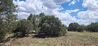 687-B Medicine Man Trail, Seligman, AZ 86337