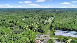 Tract B 38 Acres, Darien, GA 31305