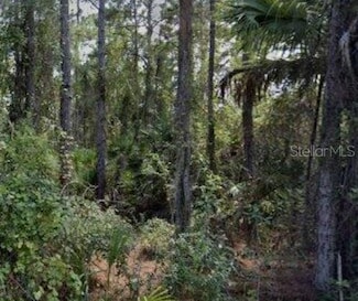 188 Tudor Rd SW, Palm Bay, FL 32908