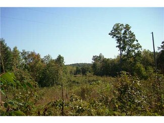 0 Leonard Jackson Rd Unit 3255617, Waynesboro, TN 38485