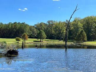 0 Mountain Creek Farm Rd, Florence, MS 39073