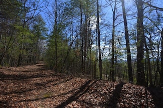 51-53 Hickory Ln, Robbinsville, NC 28771