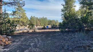 1915 Highway 260 Unit 178, Overgaard, AZ 85933