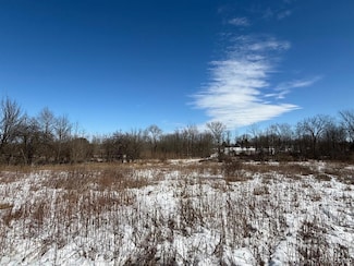 0 Dean Rd, Burnside Township, MI 48416