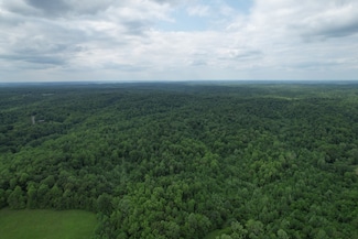0 Turkey Creek Rd, Waverly, TN 37185