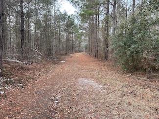 0 W Brewington Rd, Sumter, SC 29153