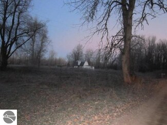 262 S Blackmer Rd, Crystal, MI 48818