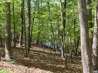 69 Laguna Rd, Lake Monticello, VA 22963