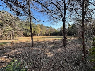 2225 County Road 425c, Cleburne, TX 76031