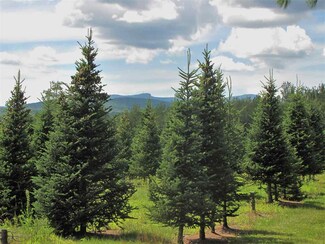 4 Lawrence Farm Rd, Morristown, VT 05661