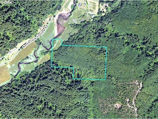 0 N Fork Siuslaw Rd Unit 24109418, Florence, OR 97439