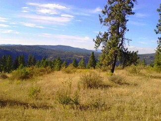37250 Bald Eagle Way N, Davenport, WA 99122