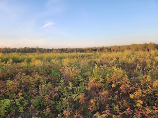 0 40 Acres (1st) Monroe (Easement) Rd Unit 50190140, Harrison, MI 48625