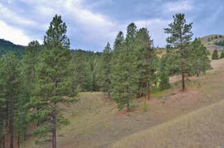 1?? Lundimo Meadows Rd, Curlew, WA 99118