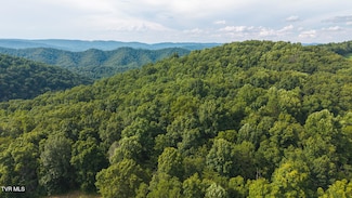 0 Gravely Valley Rd, Eidson, TN 37731