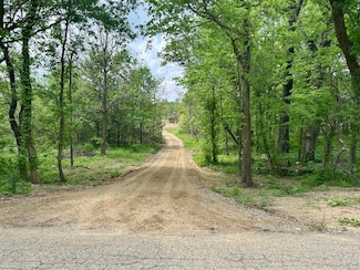2 Acres Bair Lake St, Jones, MI 49061