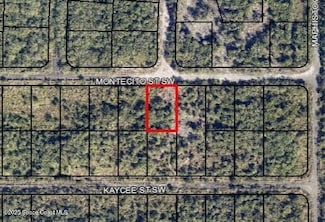 1440 Montecito St SW, Palm Bay, FL 32908
