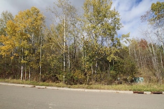1262 lot 72 Domenica Dr, Endicott, NY 13760