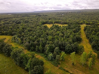 0 Departee Creek Ln, Thida, AR 72165