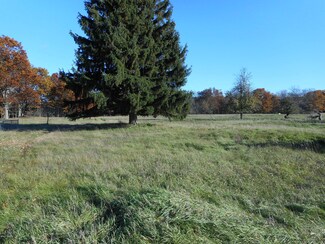 2742 Old Stronach Rd, Stronach, MI 49660