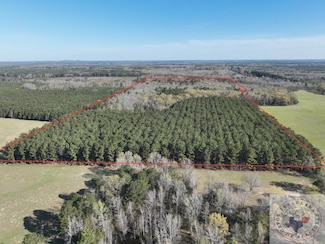 TBD Easement Rd, Linden, TX 75563