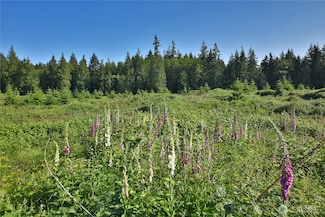 2062 E Goodell Rd, Freeland, WA 98249