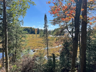 ON Otter Ln Unit Lot 1, Watersmeet, MI 49969