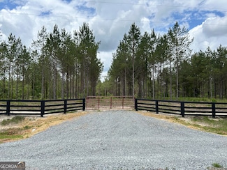 0 Dewey Thomas Rd Unit LOT 5 10305576, Dexter, GA 31019