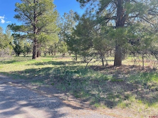 TBD Lot 308 Bear Cub Dr, Loghill Village, CO 81432