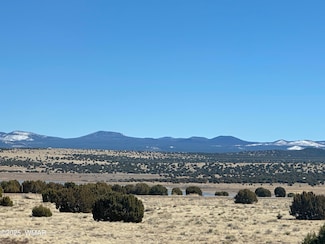 0 Lot 185 Lakeview Ranch Unit 4 Unit 255032, Concho, AZ 85924